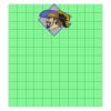 11x12 DTF Transfer Thumbnail