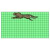 22" x 12" DTF Transfer Thumbnail