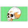 22" x 12" DTF Transfer Thumbnail