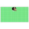 22" x 12" DTF Transfer Thumbnail