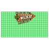 22" x 12" DTF Transfer Thumbnail