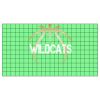22" x 12" DTF Transfer Thumbnail