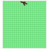 22" x 24" DTF Transfer Thumbnail