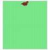 22" x 24" DTF Transfer Thumbnail