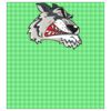 22" x 24" DTF Transfer Thumbnail