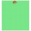 22" x 24" DTF Transfer Thumbnail