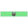 22" x 4" DTF Transfer Thumbnail