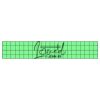 22" x 4" DTF Transfer Thumbnail