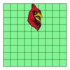 9" X 9" DTF Transfer Thumbnail