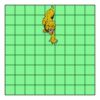 9" X 9" DTF Transfer Thumbnail