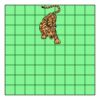 9" X 9" DTF Transfer Thumbnail