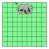 9" X 9" DTF Transfer Thumbnail