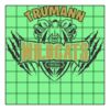 9" X 9" DTF Transfer Thumbnail