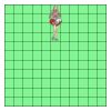 11" X 11" DTF Transfer Thumbnail
