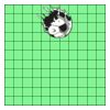 11" X 11" DTF Transfer Thumbnail