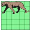 11" X 11" DTF Transfer Thumbnail