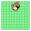 11" X 11" DTF Transfer Thumbnail