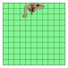 11" X 11" DTF Transfer Thumbnail