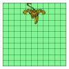11" X 11" DTF Transfer Thumbnail