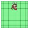 11" X 11" DTF Transfer Thumbnail
