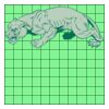 11" X 11" DTF Transfer Thumbnail