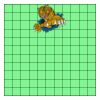 11" X 11" DTF Transfer Thumbnail
