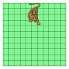 11" X 11" DTF Transfer Thumbnail