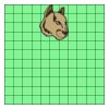 11" X 11" DTF Transfer Thumbnail
