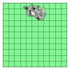 11" X 11" DTF Transfer Thumbnail