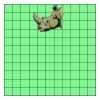 11" X 11" DTF Transfer Thumbnail