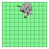 11" X 11" DTF Transfer Thumbnail