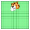 11" X 11" DTF Transfer Thumbnail