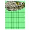 12" X 17" DTF Transfer Thumbnail